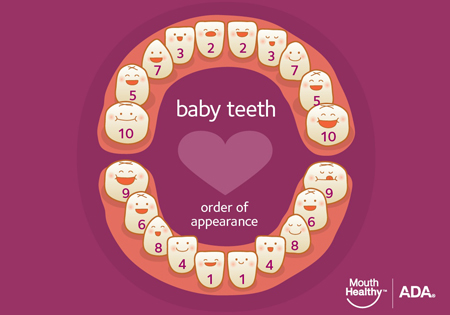 baby teeth